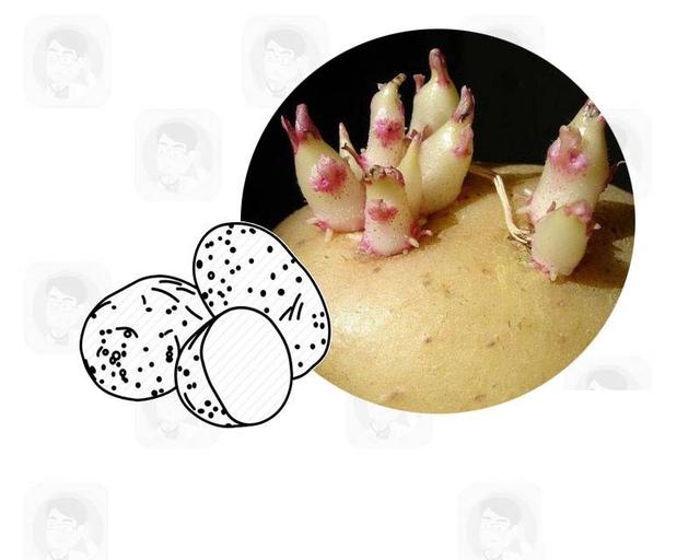 这些癌症的真凶终于找到了?提醒:4种食物最好撤下餐桌